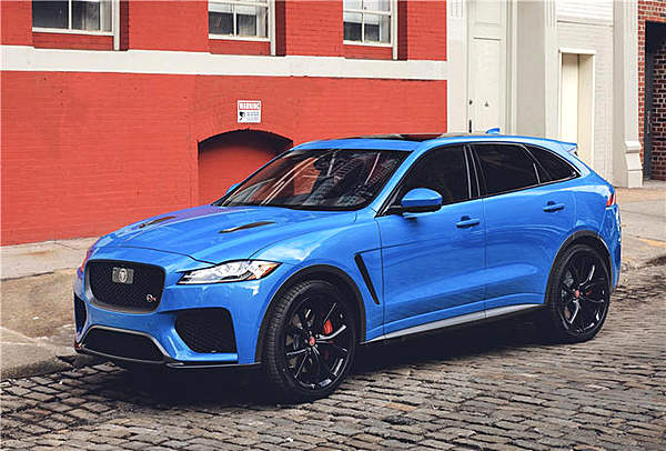 本以为是一位优雅的绅士 没想到却是如此“暴躁”！