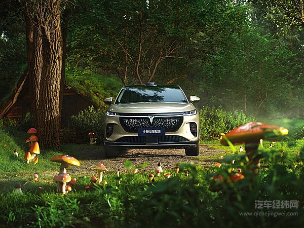 HUAWEI全家桶加持 全新岚图知音能打一个翻身仗吗？