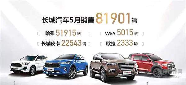 长城哈弗大狗 你会为这个名字买单吗？