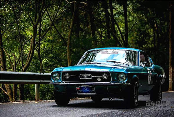 一匹脱缰野马的传奇故事