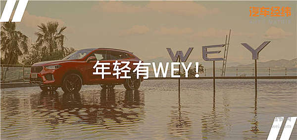 炫橙色、黑豹脸限量500台 VV5 1.5T要做年轻人专属车！