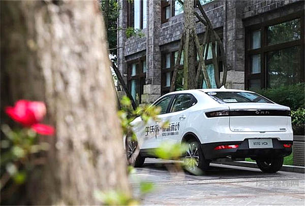 “寒冬”让人措手不及 长城欧拉iQ为何还能“独得恩宠”？！