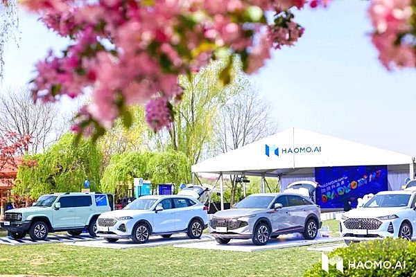  从行业热门到被打入冷宫 自动驾驶为何不香了？