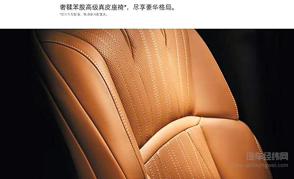 苯胺皮是顶级的真皮