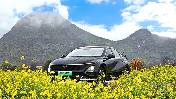 开年出行数据彰显硬核实力 购五菱星光限时享车险补贴！