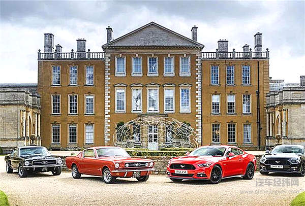 一匹脱缰野马的传奇故事