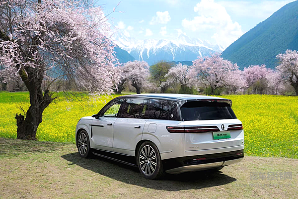 家庭露营VS商务接待 40万SUV选问界M8还是腾势N9？