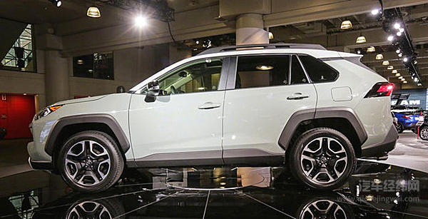 “新欢”突然出现 哪一款才是你的菜？