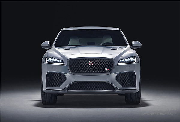 “新欢”突然出现 哪一款才是你的菜？