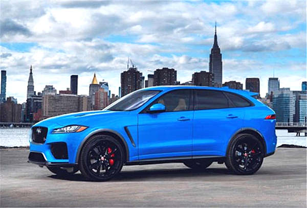 本以为是一位优雅的绅士 没想到却是如此“暴躁”！