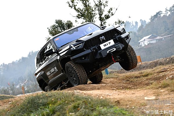 岚图和猛士能否撬开欧洲市场的大门？