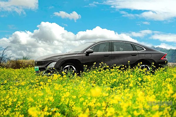 购车享至高4万元优惠 五菱星光累计减碳9.8万吨 为实现双碳目标贡献力量