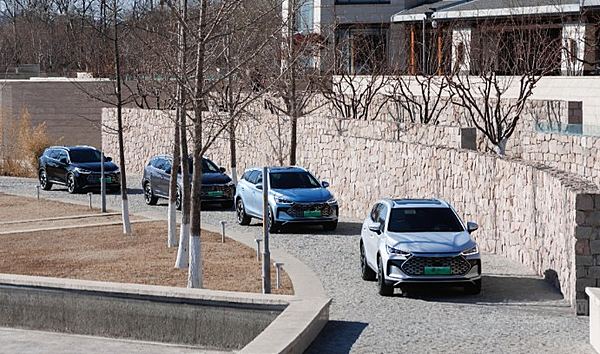 风云T10对决唐DM-i 有几成胜算？班门弄斧还是真有实力？