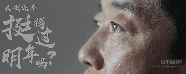 特别电影《长城汽车挺得过明年吗？》