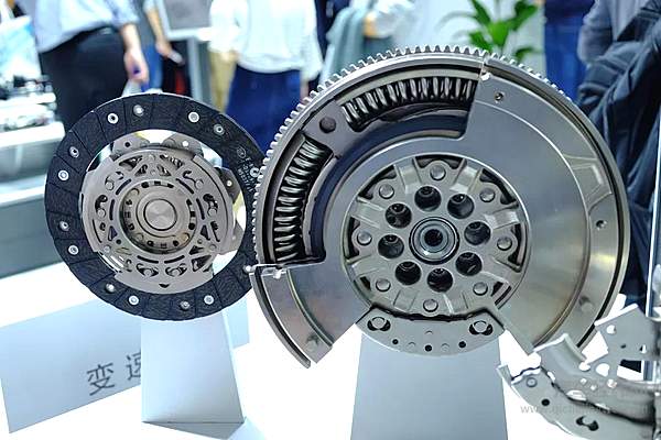 孤独的强势 根之悲歌