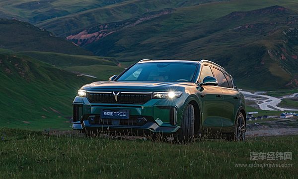 集团直接管理三大品牌 东风的内部调整能否见效？