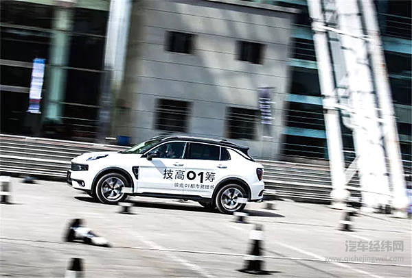 这个“网红”圈了大批粉丝 竟要在长沙验明真身！