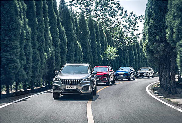 这才是豪华SUV该有的样子！ 2020款VV6上市