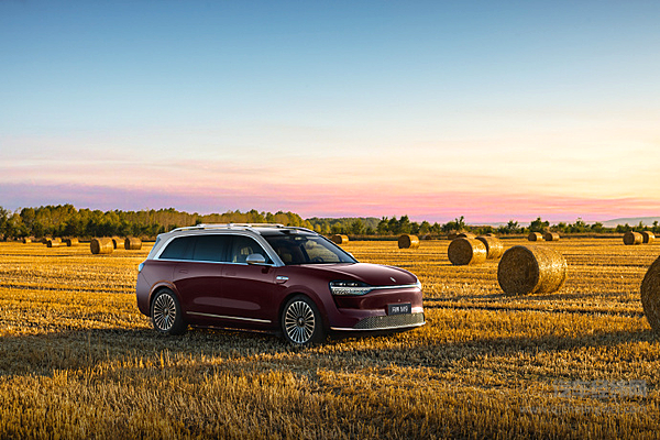 性能党VS家庭派 极氪9X与问界M9谁更戳中你的需求？