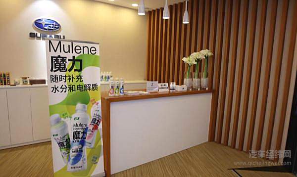 全新魔力 2021再战中国拉力赛