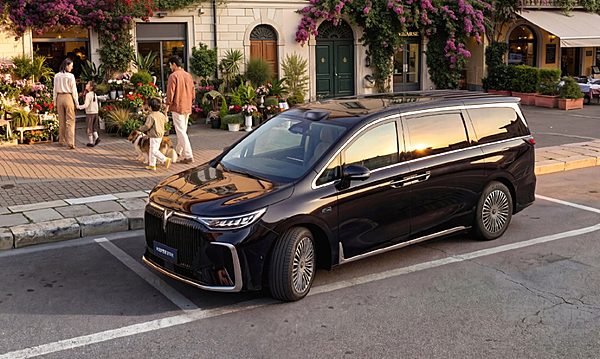 岚图汽车卢放建议消费者尽早购车 上游成本上涨压力凸显