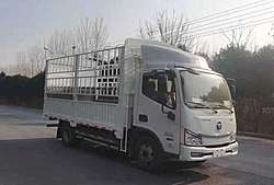 智藍汽車智藍輕卡 115kw 4X2 4.17米 倉柵式純電動輕卡載貨車 (BJ5045CCYEVK)100.27kwh