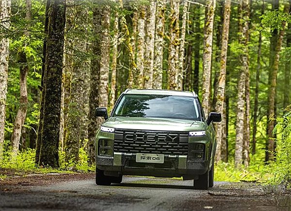 探索06携手中国国家地理 开启大熊猫国家公园王朗区的秘境探索之旅