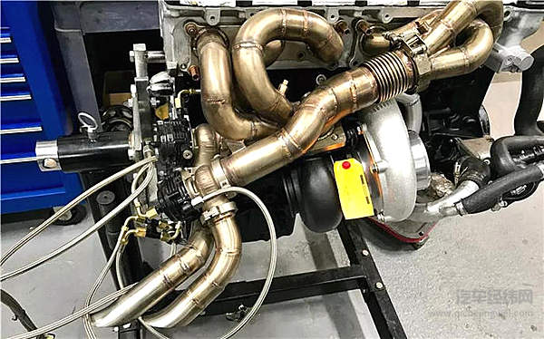 涡轮车里都养了一只鸟？