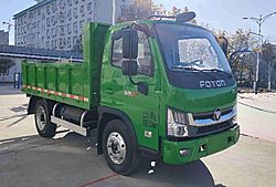 福田瑞沃大金刚ES3 Pro 172马力 4X2 3.18米 国六中卡自卸车 (法士特变速箱)(BJ3045D9JBA-33)