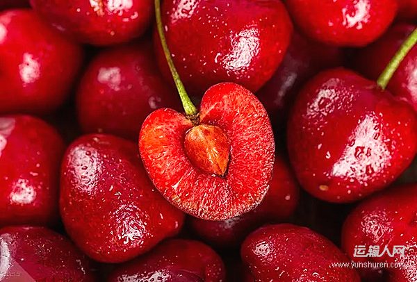 低空织网，全域护航：顺丰以新质物流力，护航2026樱桃旺季