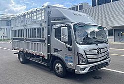 福田奥铃ATV 165马力 4X2 4.17米 仓栅式国六轻卡载货车 (万里扬变速箱)(BJ5045CCY-F4)