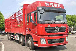 陕汽重卡德龙G6000 菁英版 600马力 8X4 仓栅式国六重卡载货车 (法士特手自一体变速箱)