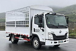 东风柳汽乘龙L3 180马力 4X2 4.165米 仓栅式国六轻卡载货车 (法士特变速箱)(LZ5041CCYL2AC1)