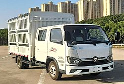 福田奥铃M卡 146马力 4X2 3.19米 仓栅式国六微卡载货车 (万里扬变速箱)(BJ5044CCY9ABA-AB4)